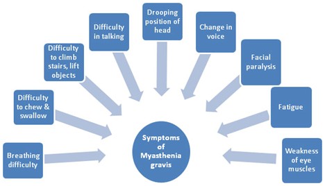 Symptoms of Myasthenia-Gravis (MG)